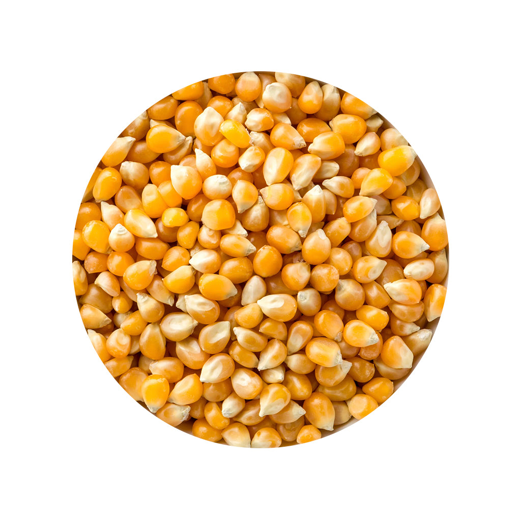 Jumbo Popcorn - 5 lb Bulk